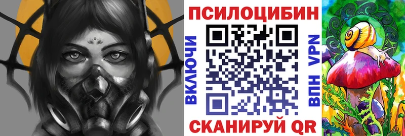 Псилоцибиновые грибы Psilocybine cubensis  Купить  Новосокольники 